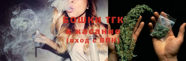 гашик Заводоуковск