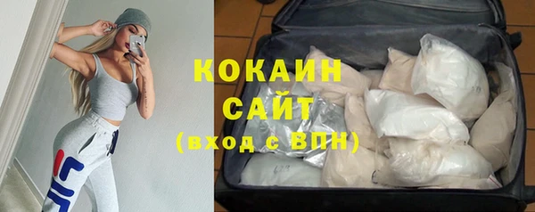 гашик Заводоуковск