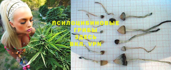 молекула духа Заволжск