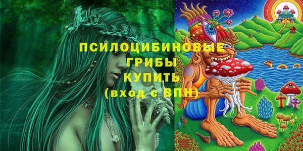 гашик Заводоуковск
