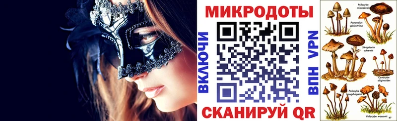 Псилоцибиновые грибы MAGIC MUSHROOMS  Купить закладки  Кингисепп 