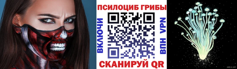 Галлюциногенные грибы ЛСД Кингисепп